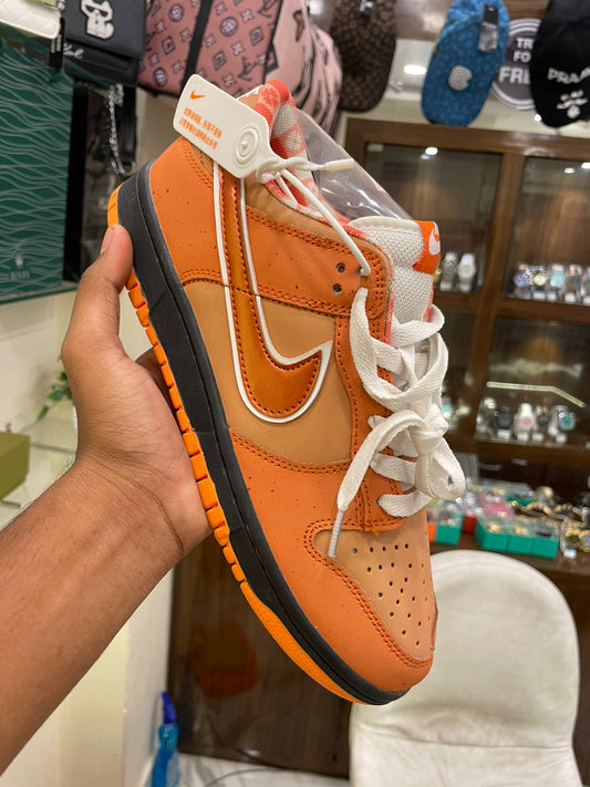 Offer Shoes